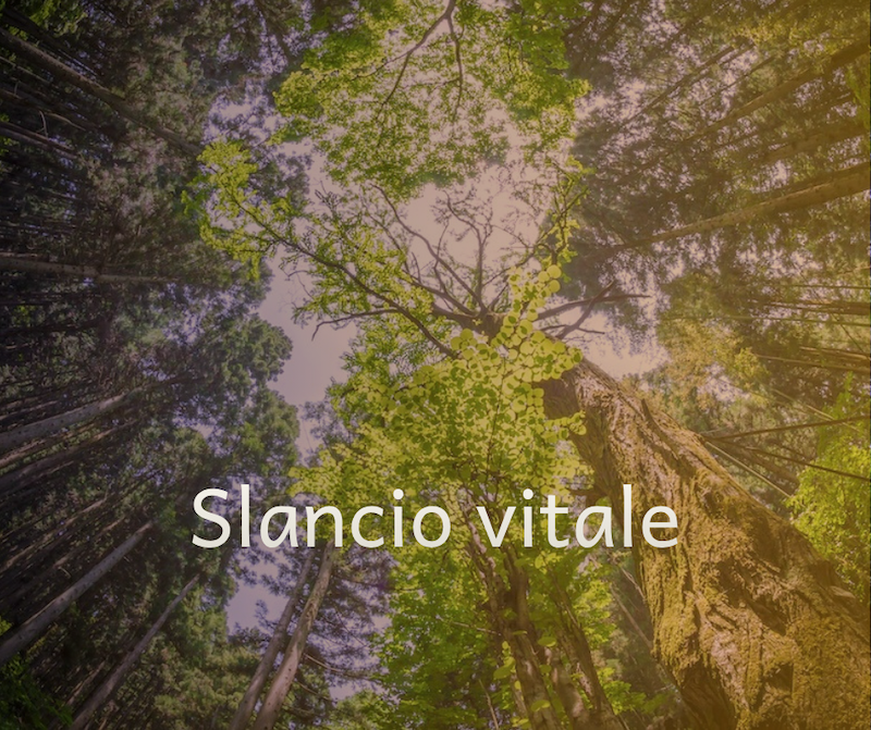 Slancio vitale